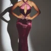 Adriana Samt-Maxikleid mit Neckholder in Weinrot