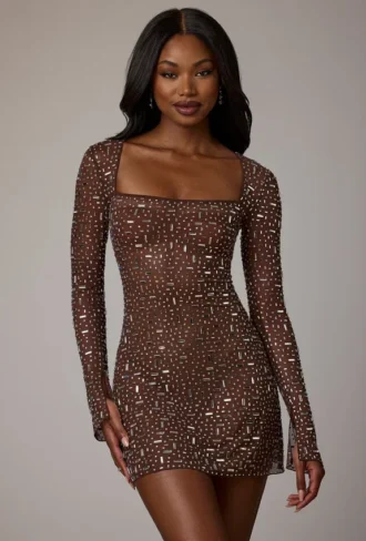 Zeta Sheer verziertes A-Linien-Minikleid mit langen Ärmeln in Deep Cocoa Zeta Sheer verziertes A-Linien-Minikleid mit langen Ärmeln in Deep Cocoa