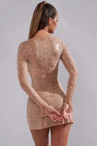 Zeta – Transparentes, verziertes A-Linien-Minikleid mit langen Ärmeln in Mandel Zeta – Transparentes, verziertes A-Linien-Minikleid mit langen Ärmeln in Mandel